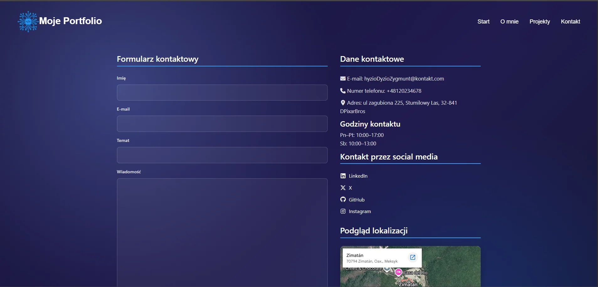 strona kontaktowa podgląd portfolio